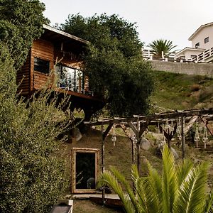 Boskenvid Hotel - Romantic Treehouses & Skypool